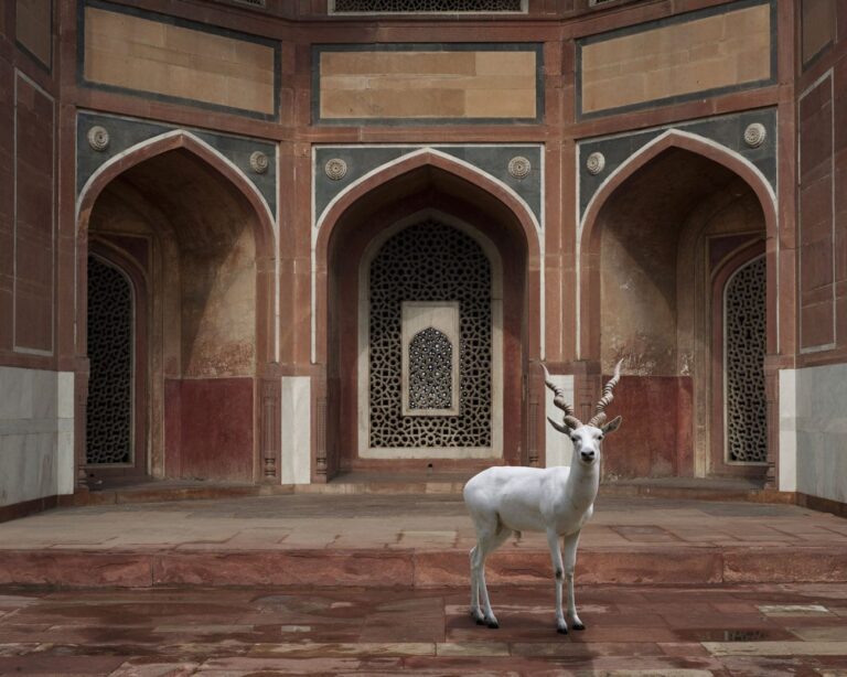 Humayun Tomb