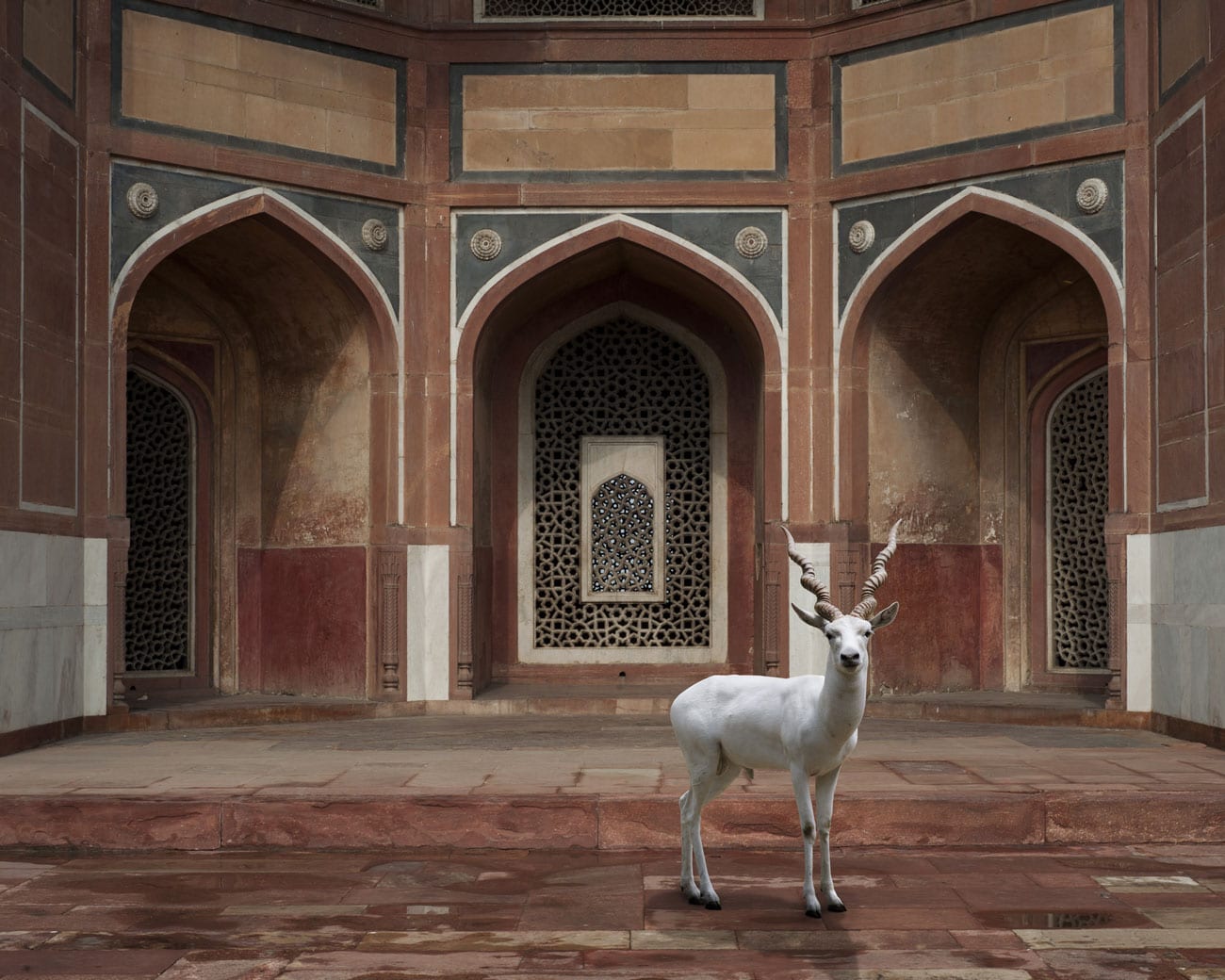 Humayun Tomb