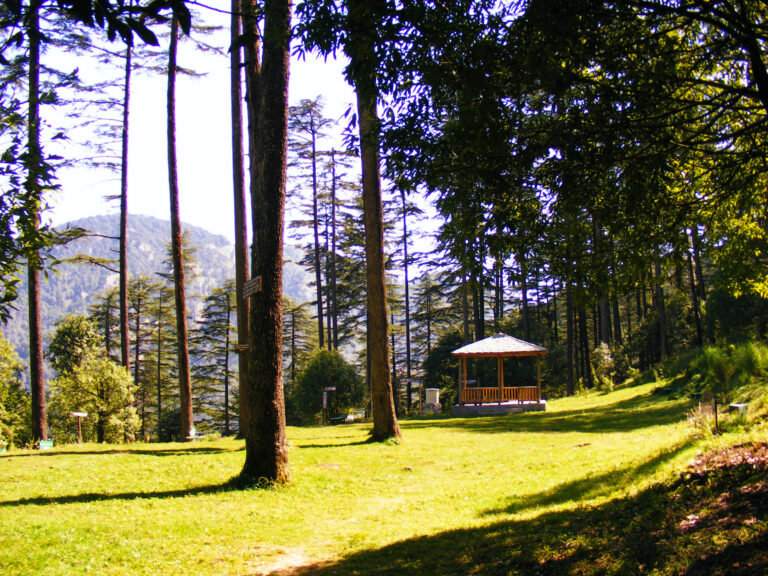 Dhanaulti Dehradun