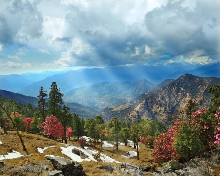 Nag Tibba Trek Dehradun