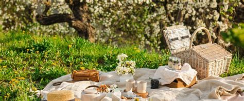 Relaxing Picnic in Nature