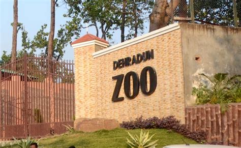 Attractions and Facilities at Dehradun Zoo
