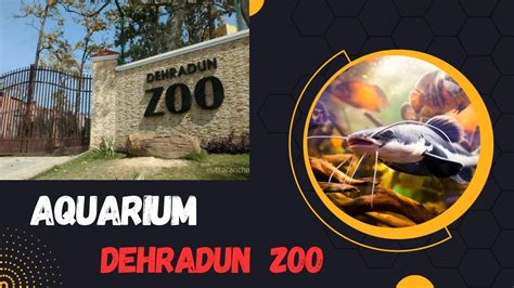 Aquarium at Dehradun Zoo