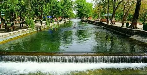 Essential Travel Tips for Dehradun