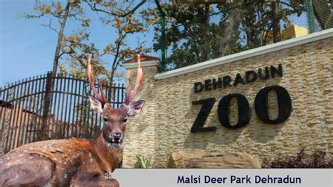 History: From Malsi Deer Park to Dehradun Zoo