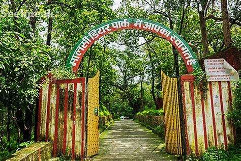 Malsi Reserve Forest Area