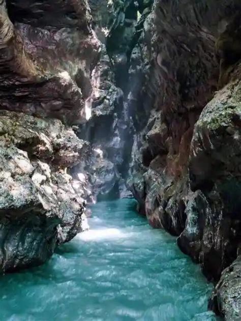 Robber’s Cave (Gucchu Pani), Dehradun