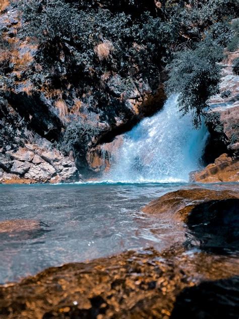 Lush Greenery around Shikhar Fall