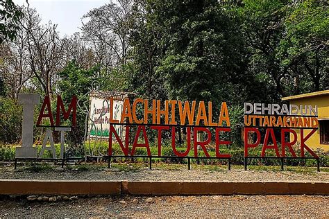 Activities at Lachhiwala Nature Park