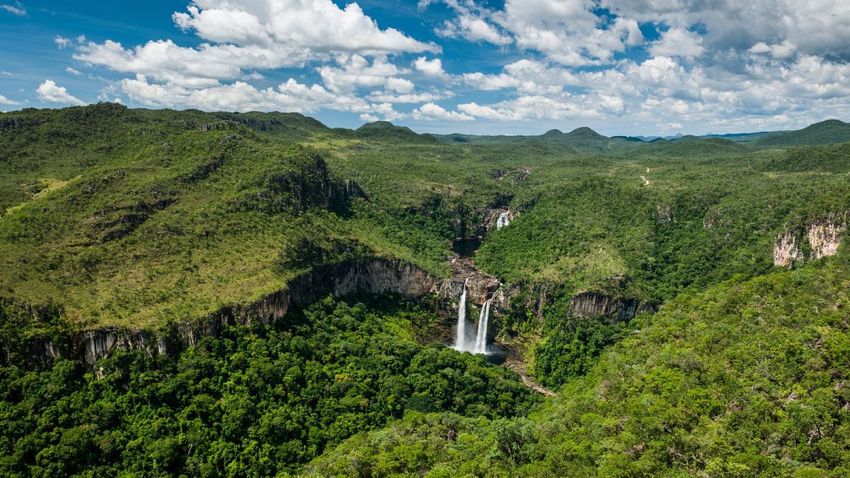 The Best National Parks in Brazil